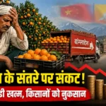 china-bhutan-taking-india-orange-export-market-maharashtra-subsidy-cancel-farmers-loss
