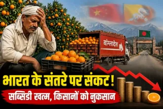 china-bhutan-taking-india-orange-export-market-maharashtra-subsidy-cancel-farmers-loss