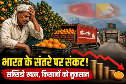 china-bhutan-taking-india-orange-export-market-maharashtra-subsidy-cancel-farmers-loss