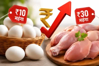 egg-chicken-price-hike-andhra-pradesh-rain-demand-fuel-cost