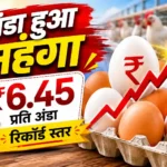 egg-price-hike-record-high-price-rs-6-45-per-egg-india