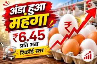 egg-price-hike-record-high-price-rs-6-45-per-egg-india
