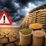 el-nino-alert-india-pulses-buffer-stock-monsoon-risk