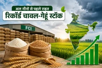 el-nino-foodgrain-stock-rice-wheat-record-high-india-food-security