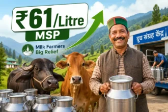 himachal-dairy-farmers-milk-msp-hike-cow-buffalo-milkfed-news-hindi