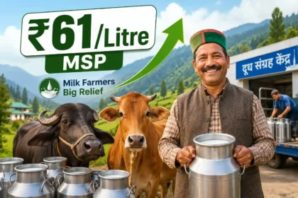 himachal-dairy-farmers-milk-msp-hike-cow-buffalo-milkfed-news-hindi