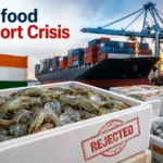 india-seafood-exports-shrimp-rejection-antibiotic-residue-crisis