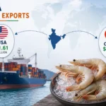 india-shrimp-exports-record-us-china-demand-frozen-shrimp-export