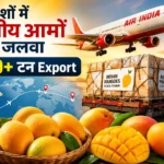 indian-mango-export-air-india-alphonso-kesar-demand-abroad