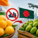 japan-ban-indian-mango-import-bangladesh-news
