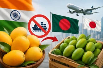 japan-ban-indian-mango-import-bangladesh-news