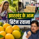 jharkhand-amrapali-mango-export-uk-first-shipment