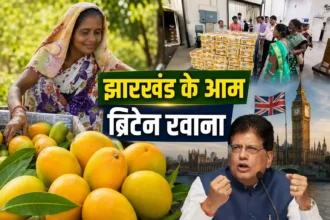 jharkhand-amrapali-mango-export-uk-first-shipment