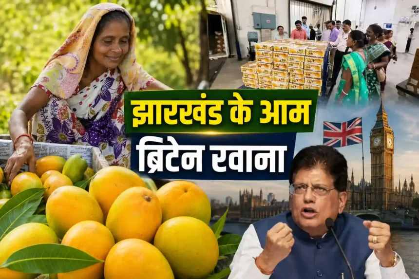 jharkhand-amrapali-mango-export-uk-first-shipment