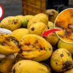 mango-worms-found-in-juice-mangoes-gujarat-food-safety-department-video