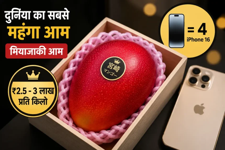 most-expensive-mango-miyazaki-mango-price-reason