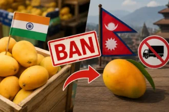 nepal-ban-on-indian-mango-import-pesticide-residue