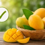 nepal-indian-mango-import-no-ban-export-continues