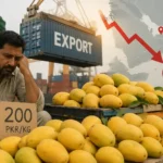 pakistan-mango-export-drop-gulf-countries-demand-falls-mango-prices-crash
