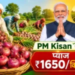 pm-kisan-23vi-kist-se-pahle-pyaj-kharid-mulya-badha-1650-rupaye-prati-quintal