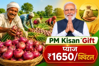 pm-kisan-23vi-kist-se-pahle-pyaj-kharid-mulya-badha-1650-rupaye-prati-quintal