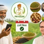 pm-kisan-yojana-23rd-installment-before-msp-procurement-approval-for-pulses-oilseeds