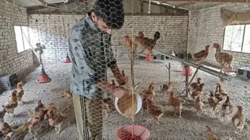 poultry-farming-success-story-monthly-income-60000-government-scheme