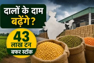 pulses-buffer-stock-el-nino-impact-dal-price-hike-india