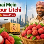 tezpur-gi-tag-litchi-first-export-consignment-reaches-dubai