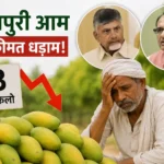 totapuri-mango-price-crash-cm-demands-rs-281-crore-relief-for-farmers