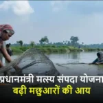 pm-matsya-sampada-yojana-fish-production-india-2024-25