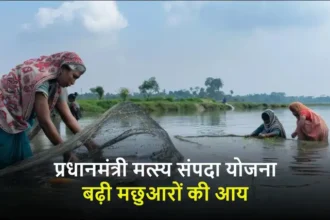 pm-matsya-sampada-yojana-fish-production-india-2024-25