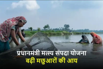 pm-matsya-sampada-yojana-fish-production-india-2024-25