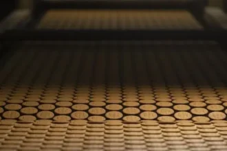 mcvities-parent-company-pladis-healthy-products-sales-double-by-2030