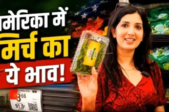 america-green-chilli-price-vs-india-1kg-chilli-cost