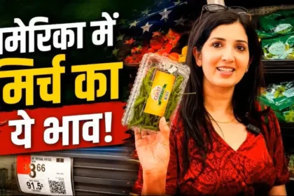 america-green-chilli-price-vs-india-1kg-chilli-cost