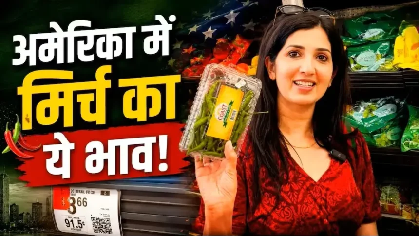 america-green-chilli-price-vs-india-1kg-chilli-cost