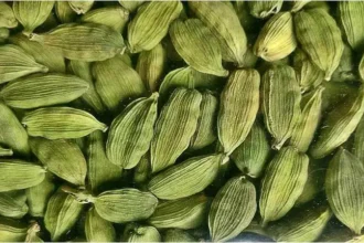 commodity-news-india-cardamom-export-crosses-43-68-million-dollar-fy26