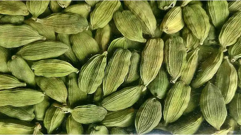 commodity-news-india-cardamom-export-crosses-43-68-million-dollar-fy26
