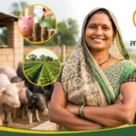 lakhpati-didi-dilmati-chhattisgarh-success-story-shg-pig-farming