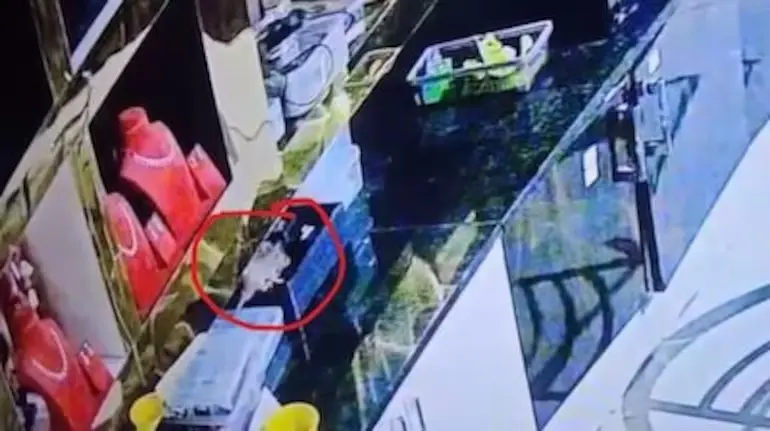 rat-steals-rs-10-lakh-jewellery-caught-on-cctv-karnataka-tumakuru