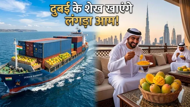 up-mango-export-dubai-12-5-ton-dussehri-langra-mango-sea-route