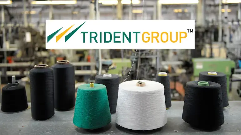 trident-q1-results-profit-rises-13-percent-dividend-share-price-fy27
