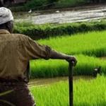 chinese-herbicide-imports-glufosinate-india-tightens-customs-check-anti-dumping-review