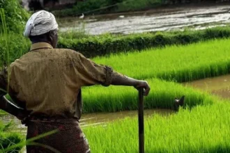 chinese-herbicide-imports-glufosinate-india-tightens-customs-check-anti-dumping-review