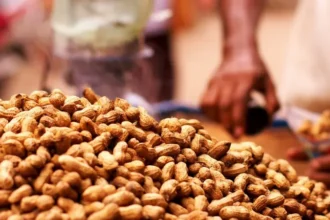 el-nino-impact-on-groundnut-production-india-peanut-export-top-5-importing-countries
