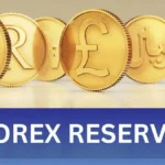 forex-reserves-india-rises-7-26-billion-gold-fca-july-2026