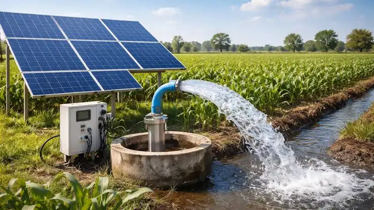 gk-energy-shares-msedcl-rs236-crore-solar-pump-order-share-price-jumps