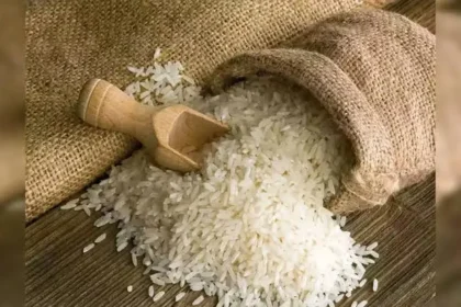 eu-rejects-china-rice-flour-gmo-india-rice-exports