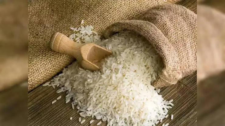 eu-rejects-china-rice-flour-gmo-india-rice-exports